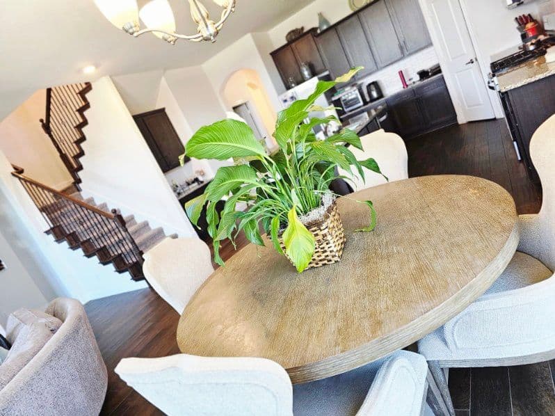 The Ultimate Cleaning Timeline: What to Clean Daily, Weekly, Monthly & Seasonally image