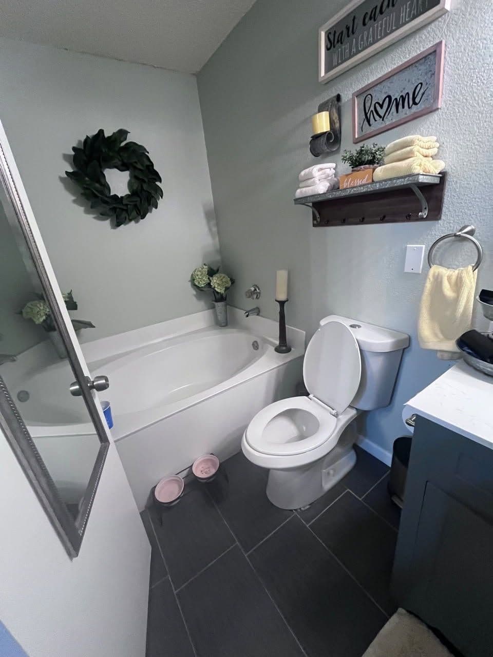 Project Spotless Home Cleaning Tips image