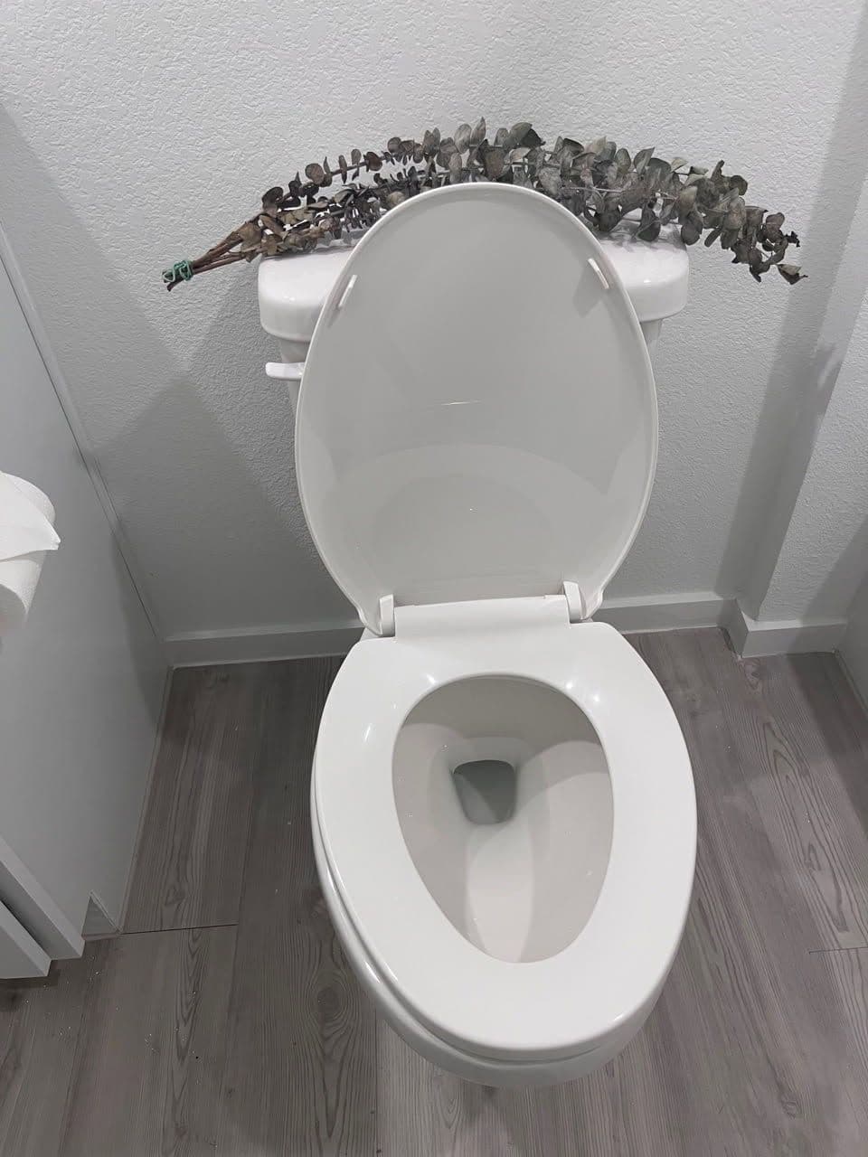 Gallery photos for Sparkle and Shine for Your Home: Image #1